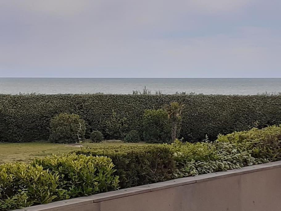 Les Rivages De Rochelongues, T3, Piscine, Clim, Parking Lägenhet Agde Exteriör bild